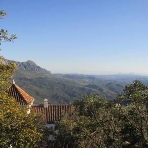 Meet your Posher, Jonas